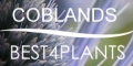 Best 4 Plants