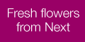 Next Flowers and Wine 