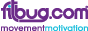 Fitbug