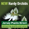 Jersey Plants Direct