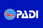 Padi